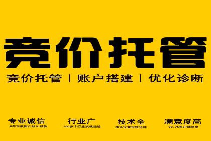 SEM运营公司案例：助力企业业绩增长